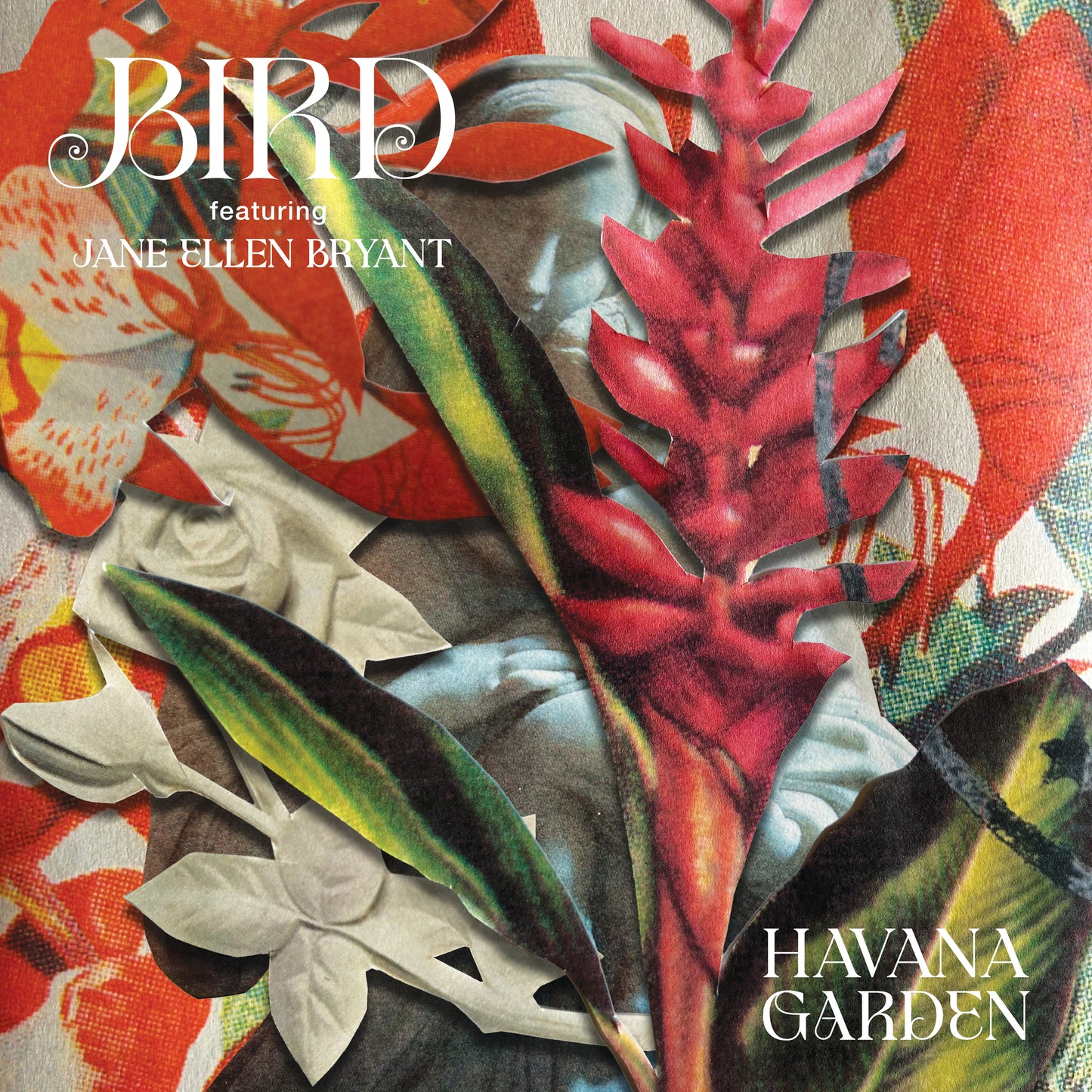Bird - Havana Garden RSD26