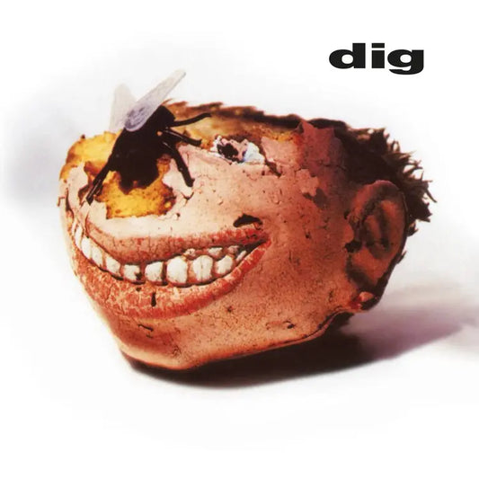 DIG - DIG