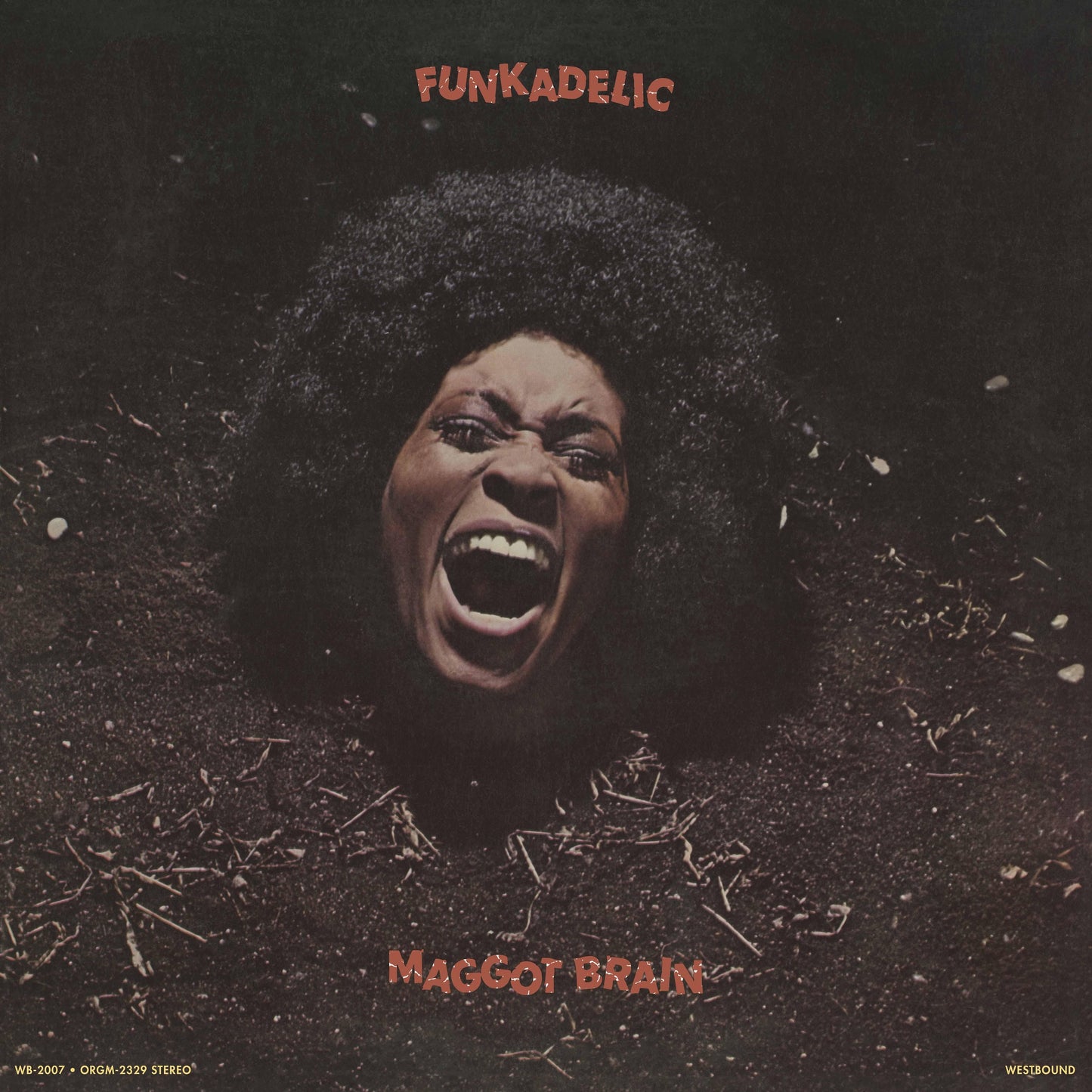 FUNKADELIC - Maggot Brain (ORG MUSIC)