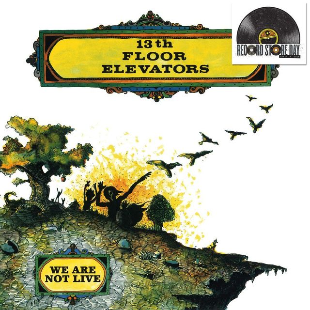 13TH FLOOR Elevators - WE ARE NOT LIVE RSD26