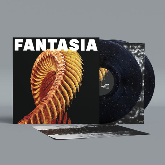 SLIFT - Fantasia (Sub Pop)